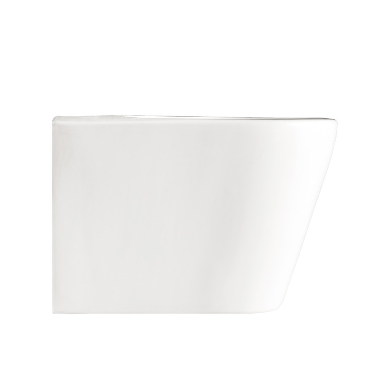 OEM ODM Ceramic Bathroom Sanitary Ware Wash Toilet Bidet Glossy White Wall Hung Ceramic Bidet